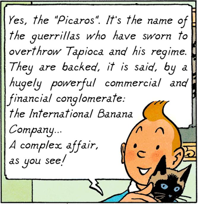 Tintin tien un chat dans Tintin et les Picaros